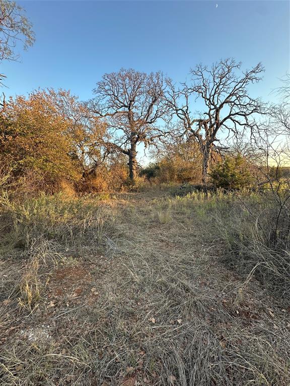 80 Ranch Bangs Tx 76823 Ranch Bangs, TX 76823 - Photo 23 of 40 a view of mountain view with large trees