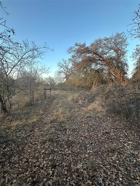 80 Ranch Bangs Tx 76823 Ranch Bangs, TX 76823 - Photo 25 of 40 a view of a yard with a tree