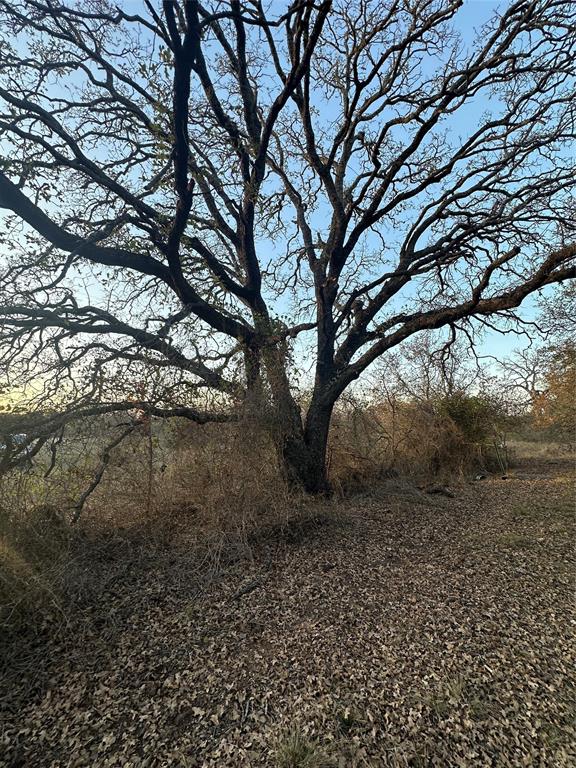 80 Ranch Bangs Tx 76823 Ranch Bangs, TX 76823 - Photo 26 of 40 a view of a tree in a yard