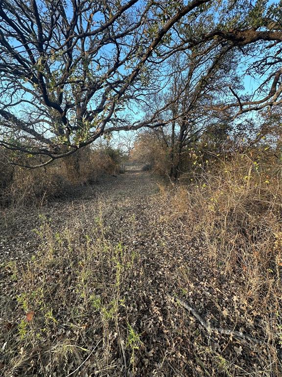 80 Ranch Bangs Tx 76823 Ranch Bangs, TX 76823 - Photo 27 of 40 a view of a yard with a tree
