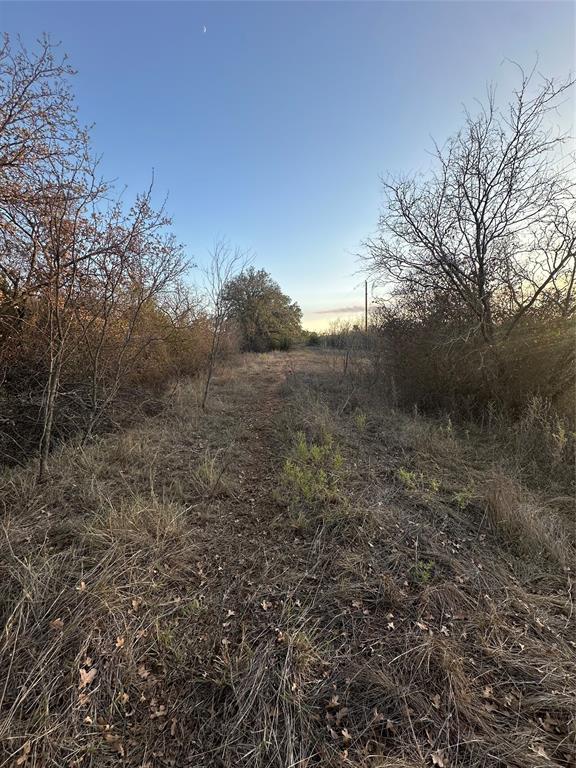 80 Ranch Bangs Tx 76823 Ranch Bangs, TX 76823 - Photo 28 of 40 a view of a field with large trees