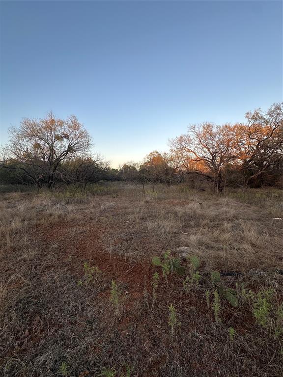 80 Ranch Bangs Tx 76823 Ranch Bangs, TX 76823 - Photo 3 of 40 a view of a big yard with an outdoor space