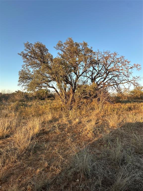 80 Ranch Bangs Tx 76823 Ranch Bangs, TX 76823 - Photo 31 of 40 a view of a large tree