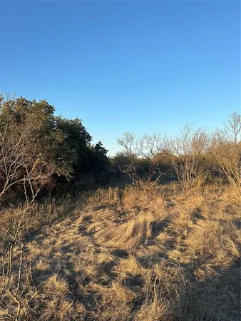a view of a bunch of trees