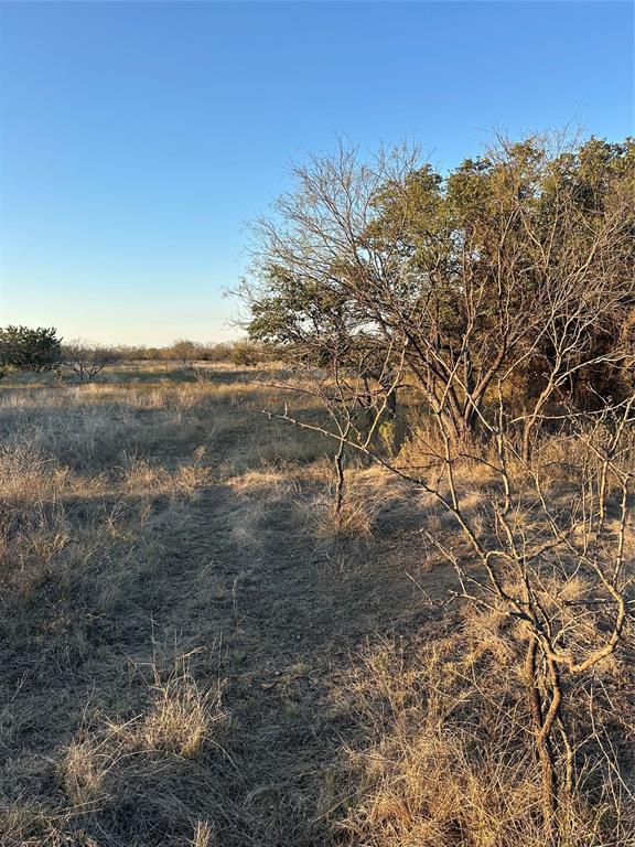 80 Ranch Bangs Tx 76823 Ranch Bangs, TX 76823 - Photo 36 of 40 a view of mountain view with lots of trees