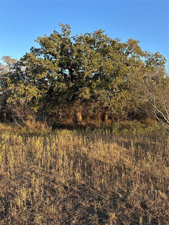 80 Ranch Bangs Tx 76823 Ranch Bangs, TX 76823 - Photo 38 of 40 a view of a bunch of trees
