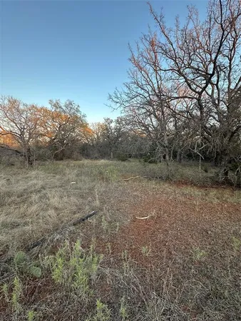 a view of a field with trees in background