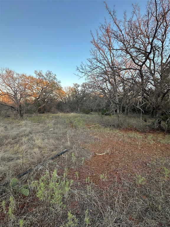 80 Ranch Bangs Tx 76823 Ranch Bangs, TX 76823 - Photo 4 of 40 a view of a field with trees in background