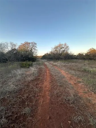 a view of a field of grass and trees