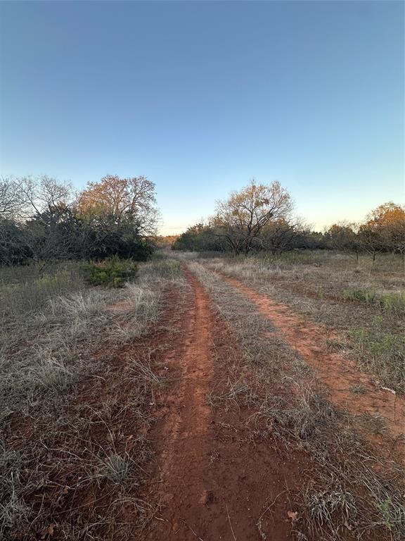 80 Ranch Bangs Tx 76823 Ranch Bangs, TX 76823 - Photo 5 of 40 a view of a field of grass and trees