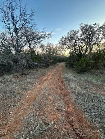 a view of a field with trees in the background