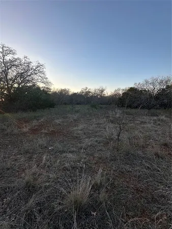 a view of a dry yard with trees
