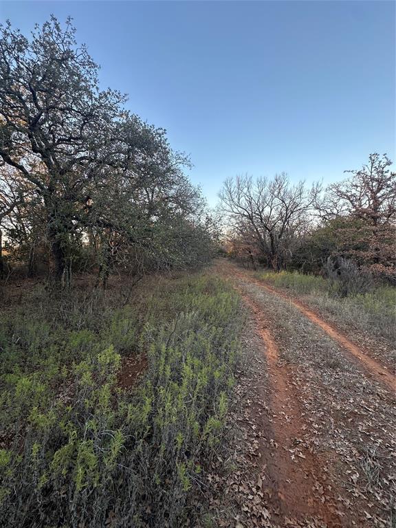 80 Ranch Bangs Tx 76823 Ranch Bangs, TX 76823 - Photo 8 of 40 a view of a dry yard with trees