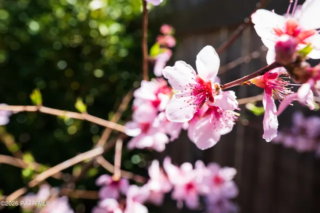 $589,900 | 559 Jordan Road, Unit 5, Sedona, AZ 86336