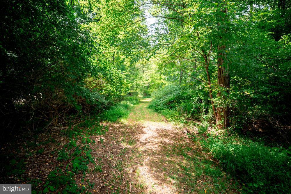 0 Creek Road Glenmoore, PA 19343 - Photo 1 of 14 a view of a lake view with sitting space