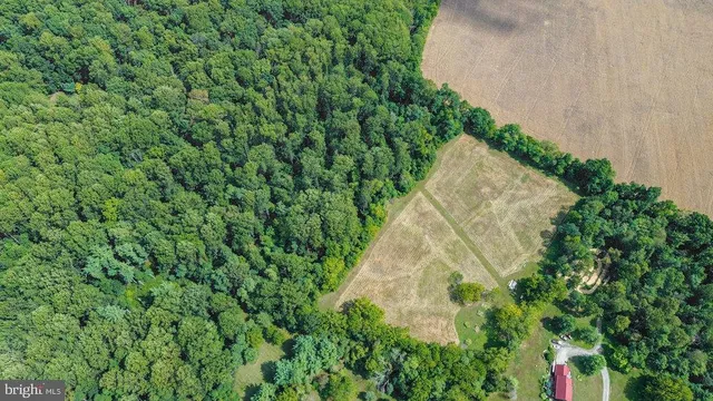 a view of a yard with plants