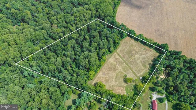 a backyard of a house with lots of green space and trees