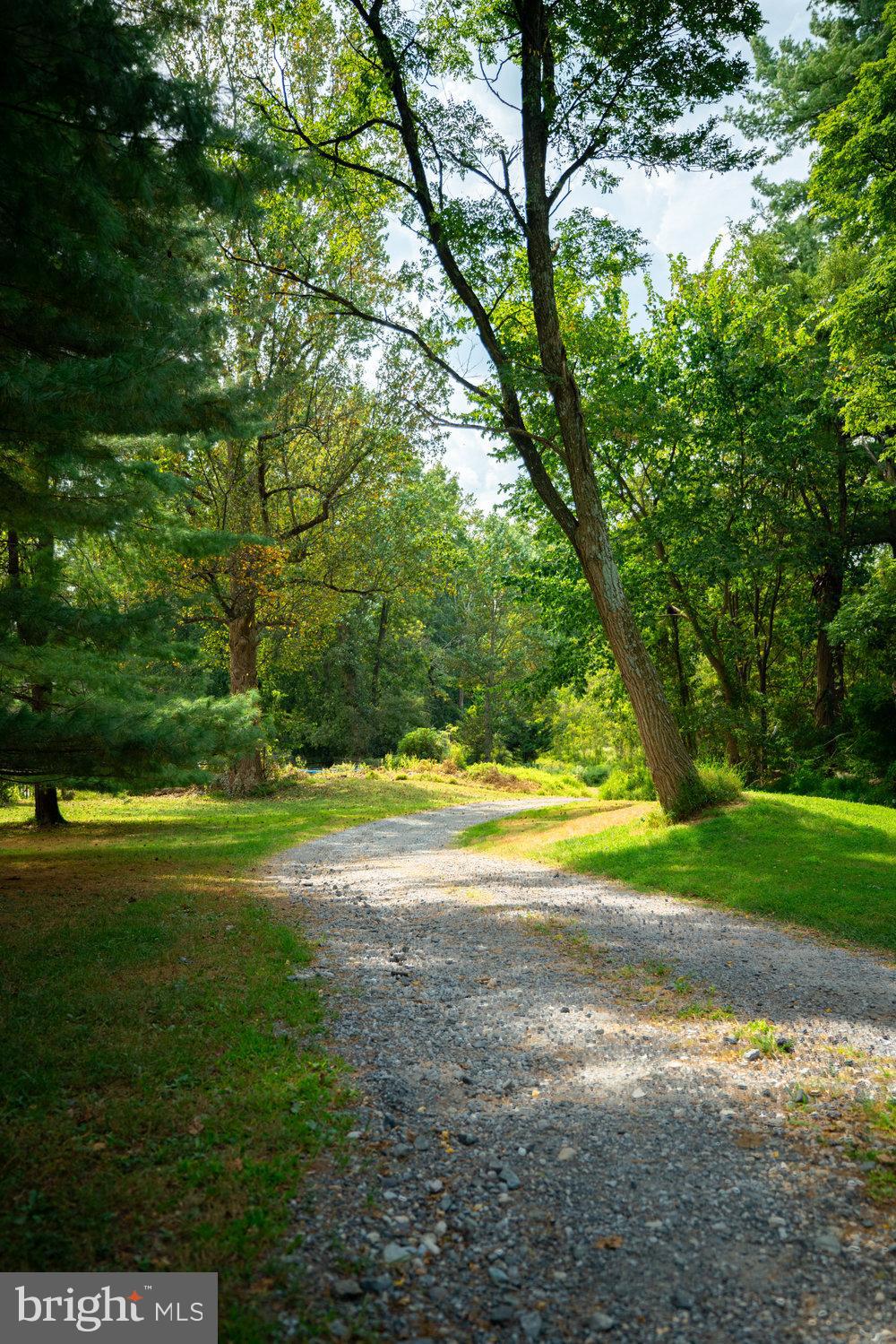 0 Creek Road Glenmoore, PA 19343 - Photo 3 of 14 a view of a yard with a large trees