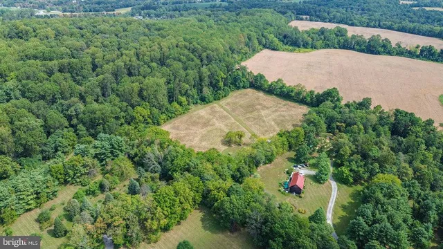 a view of a wooden house with a yard and plants