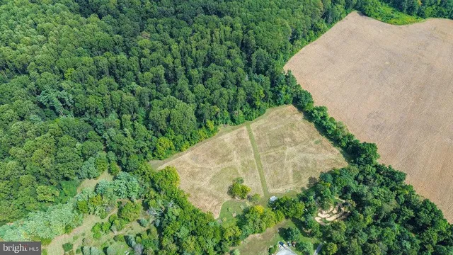 a view of a garden with a house