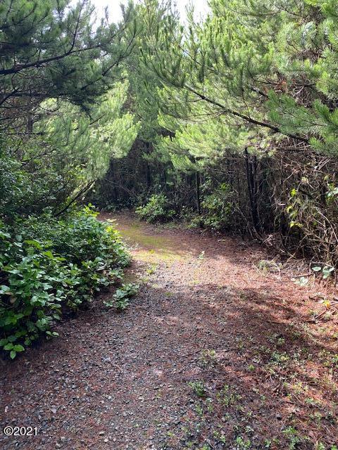 3100 Southwest Sitka Ridge Waldport, OR 97394 - Photo 3 of 6 East corner
