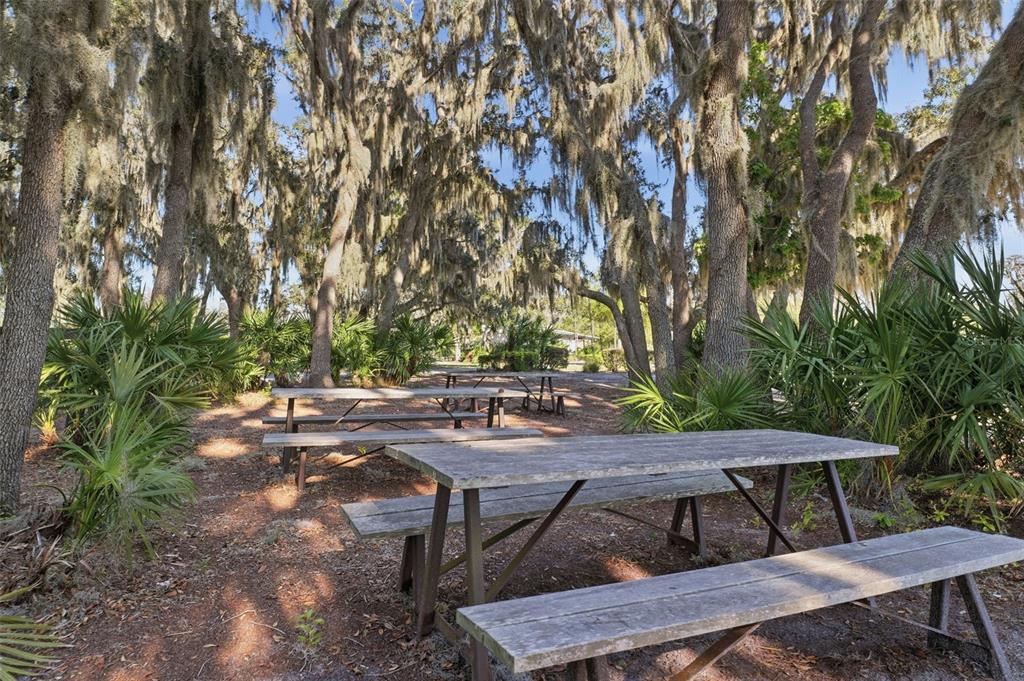 4345 Tatum Loop Odessa, FL 33556 - Photo 34 of 35