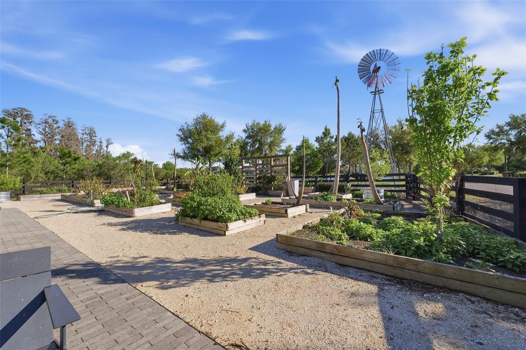 4345 Tatum Loop Odessa, FL 33556 - Photo 35 of 35