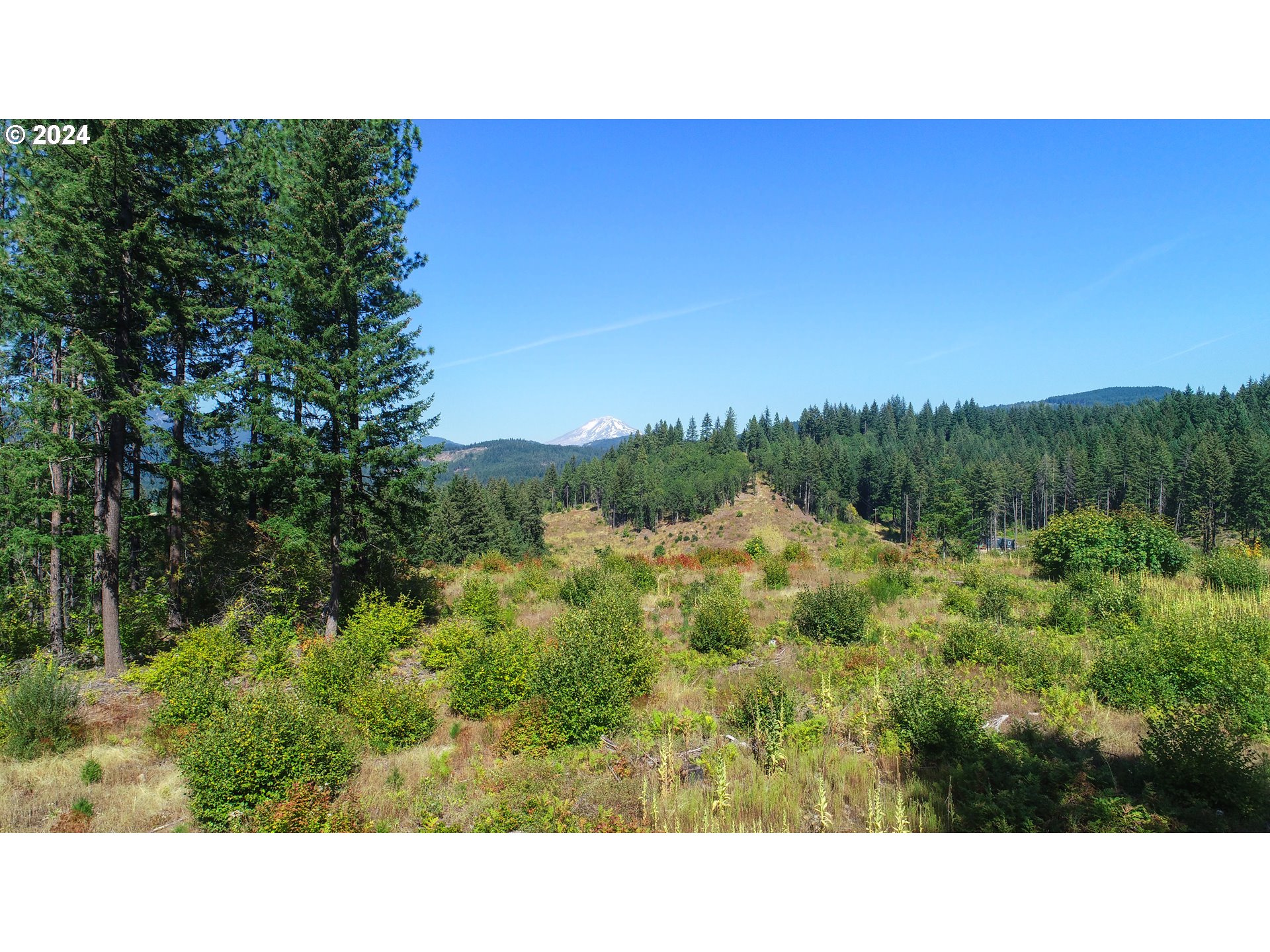 7 Rattlesnake Road White Salmon, WA 98672 - Photo 29 of 41 a open area with trees in background