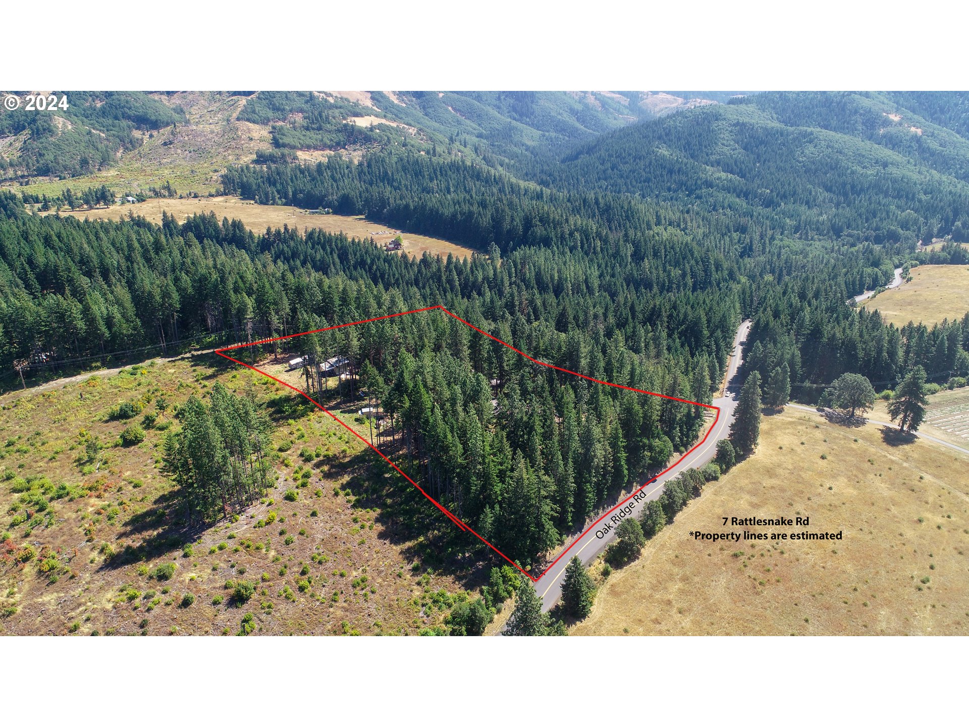 7 Rattlesnake Road White Salmon, WA 98672 - Photo 31 of 41 a view of a backyard with a mountain and trees