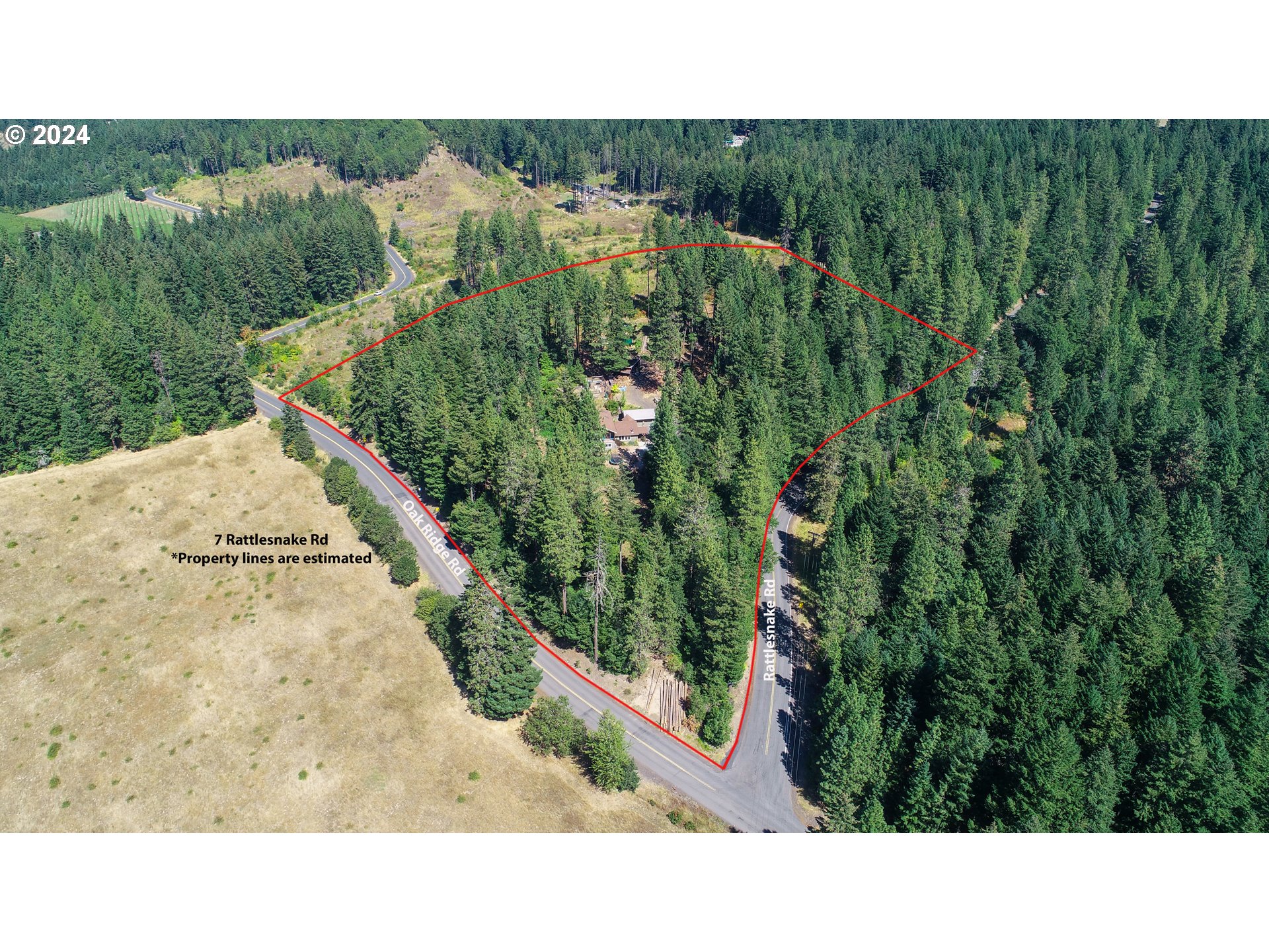 7 Rattlesnake Road White Salmon, WA 98672 - Photo 32 of 41 a open area with lots of trees