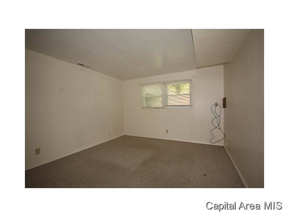 37 Drawbridge Road Springfield, IL 62704 - Photo 13 of 24