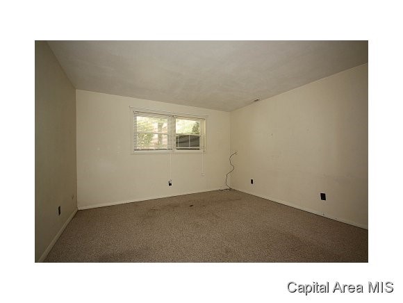 37 Drawbridge Road Springfield, IL 62704 - Photo 15 of 24