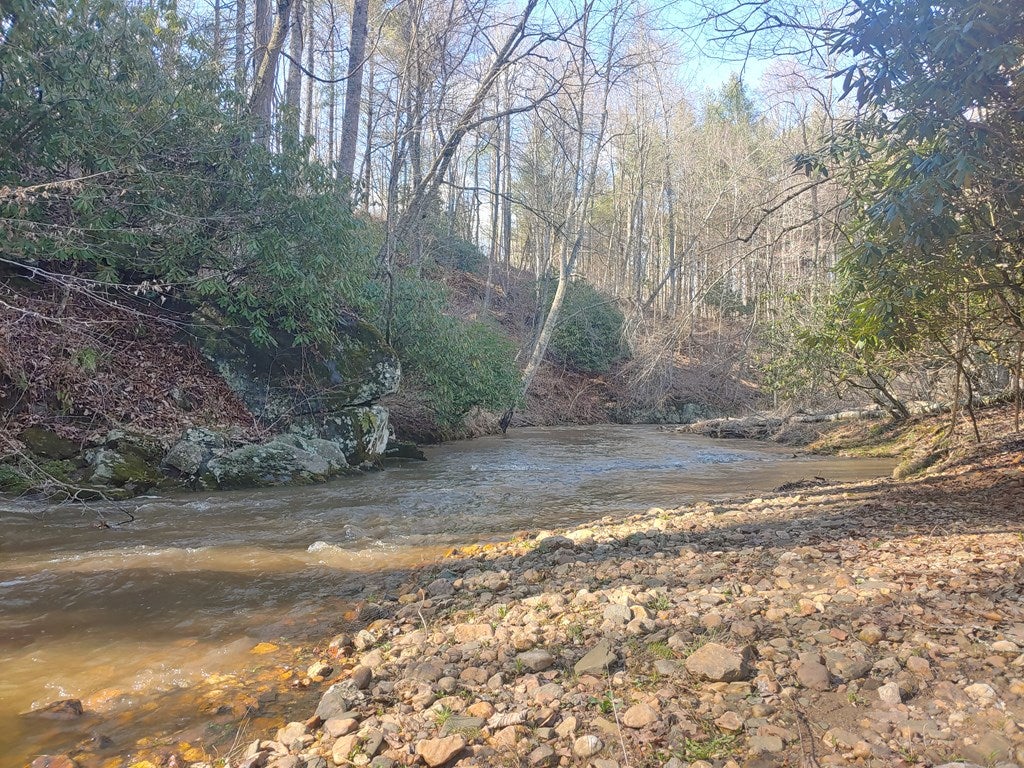 Tbd Falling Branch Road Northwest Floyd, VA 24091 - Photo 15 of 27 Gallery Image 15