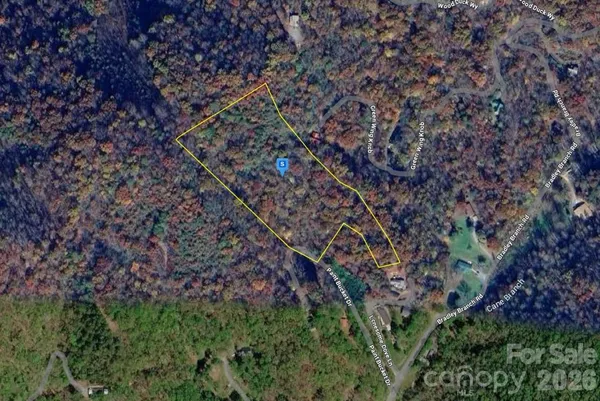 a picture of trees