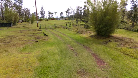 a view of a yard
