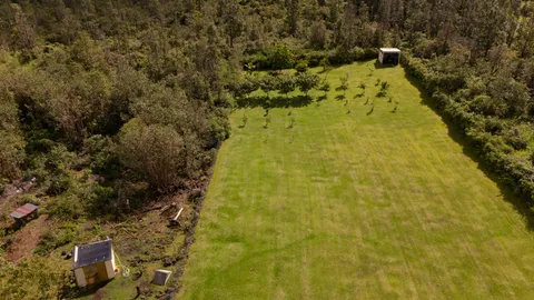 a view of a yard