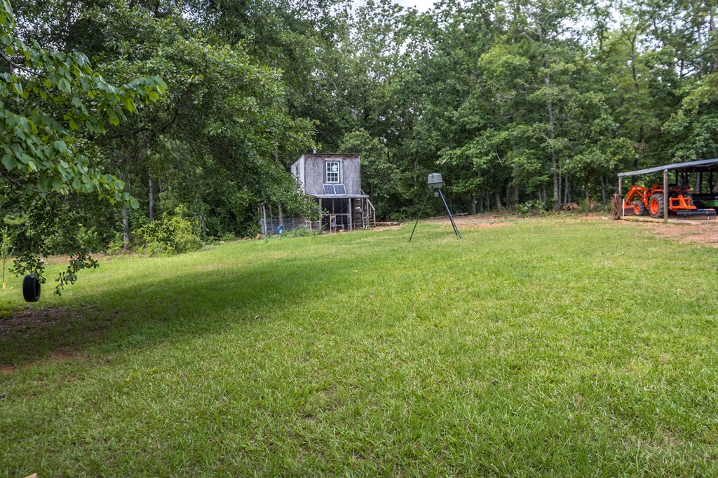 1101 Moon Road Shiloh, GA 31826 - Photo 36 of 54 Gallery Image 36