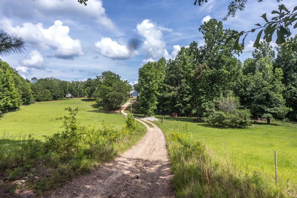 1101 Moon Road Shiloh, GA 31826 - Photo 44 of 54 Gallery Image 44