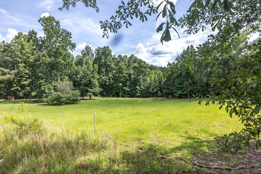 1101 Moon Road Shiloh, GA 31826 - Photo 45 of 54 Gallery Image 45