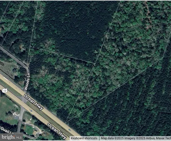 a view of a lots of trees and bushes