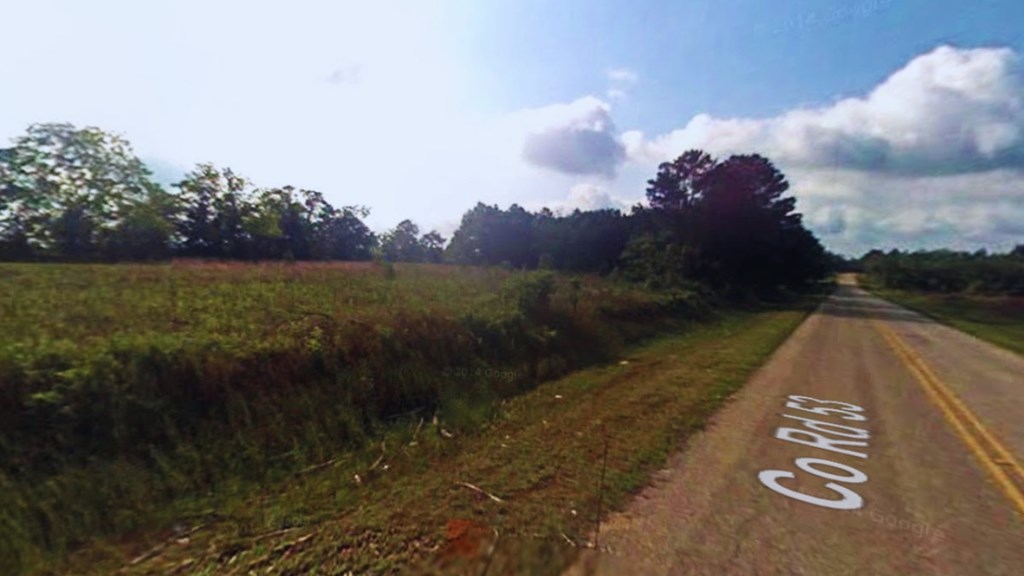 0 Co Road Abbeville, AL 36310 - Photo 18 of 18