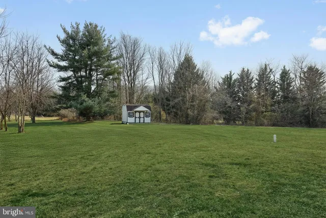 a view of a field of grass and trees