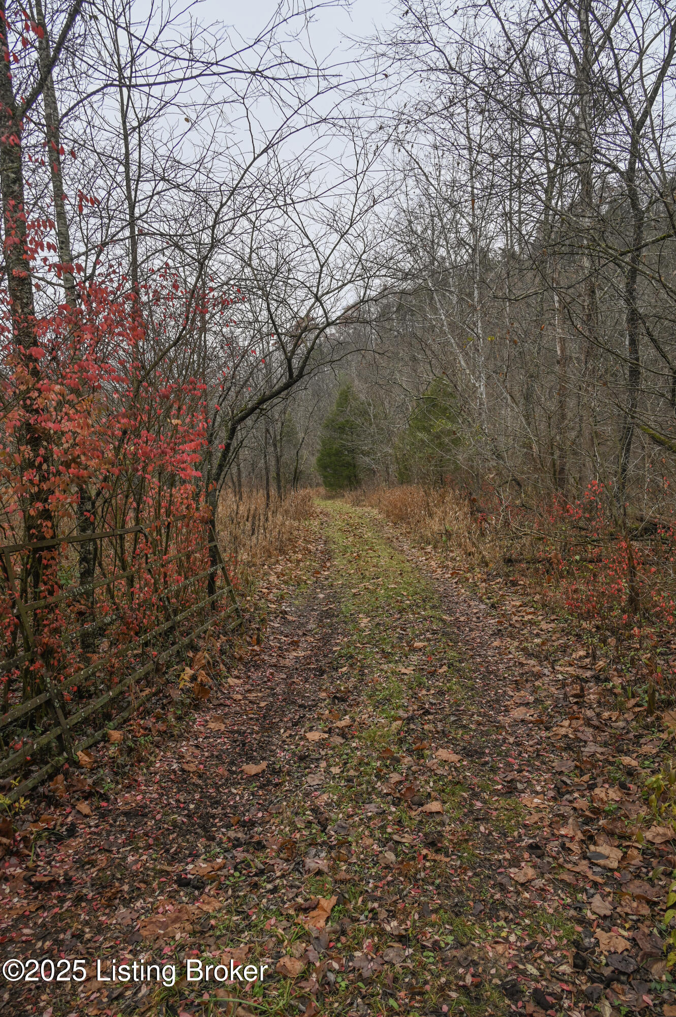 3095 Herbert Howell Road Hodgenville, KY 42748 - Photo 28 of 80 16-DSC_0979