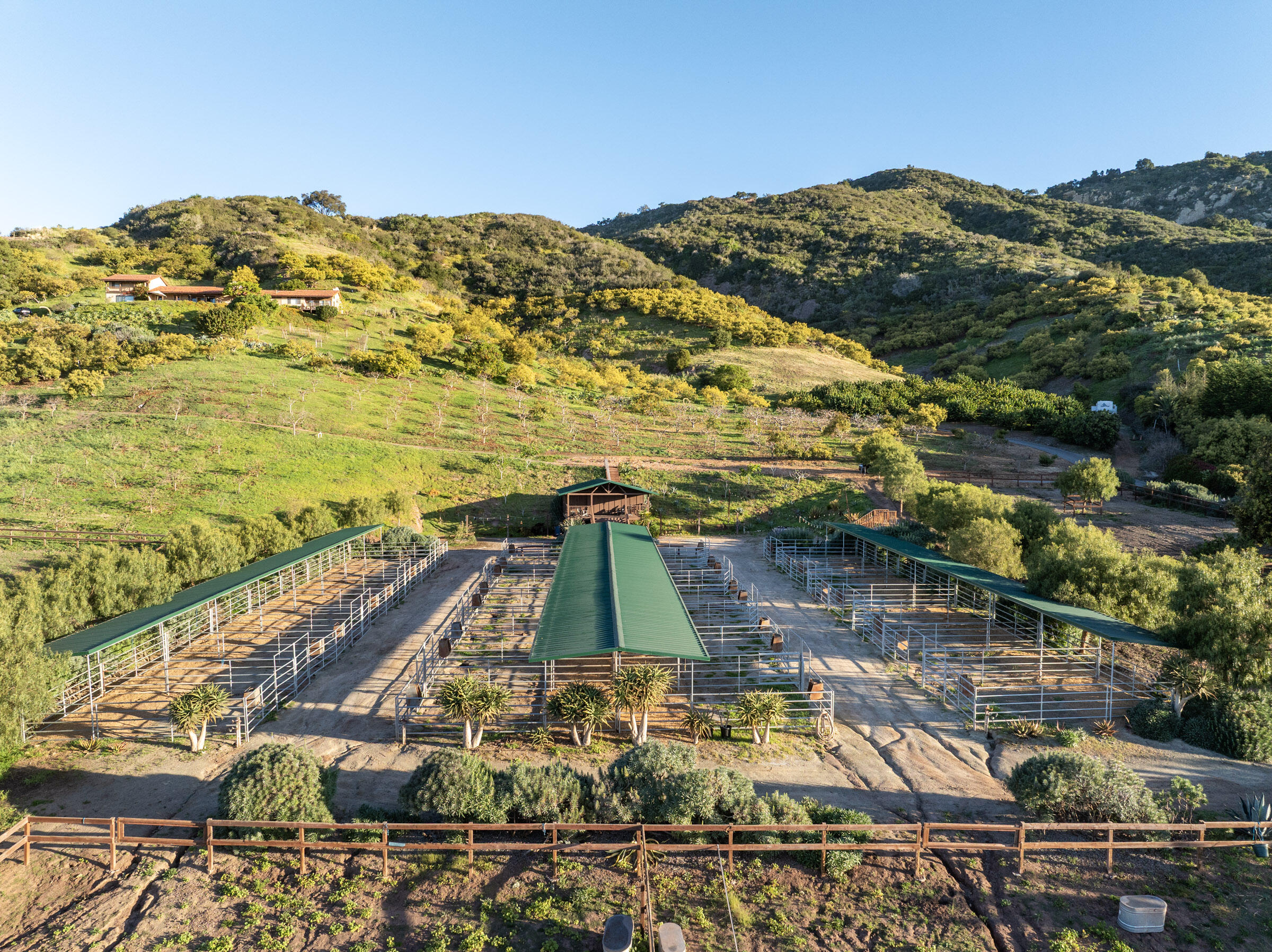 3330 Foothill Road Carpinteria, CA 93013 - Photo 67 of 78 3330 Foothill_0005