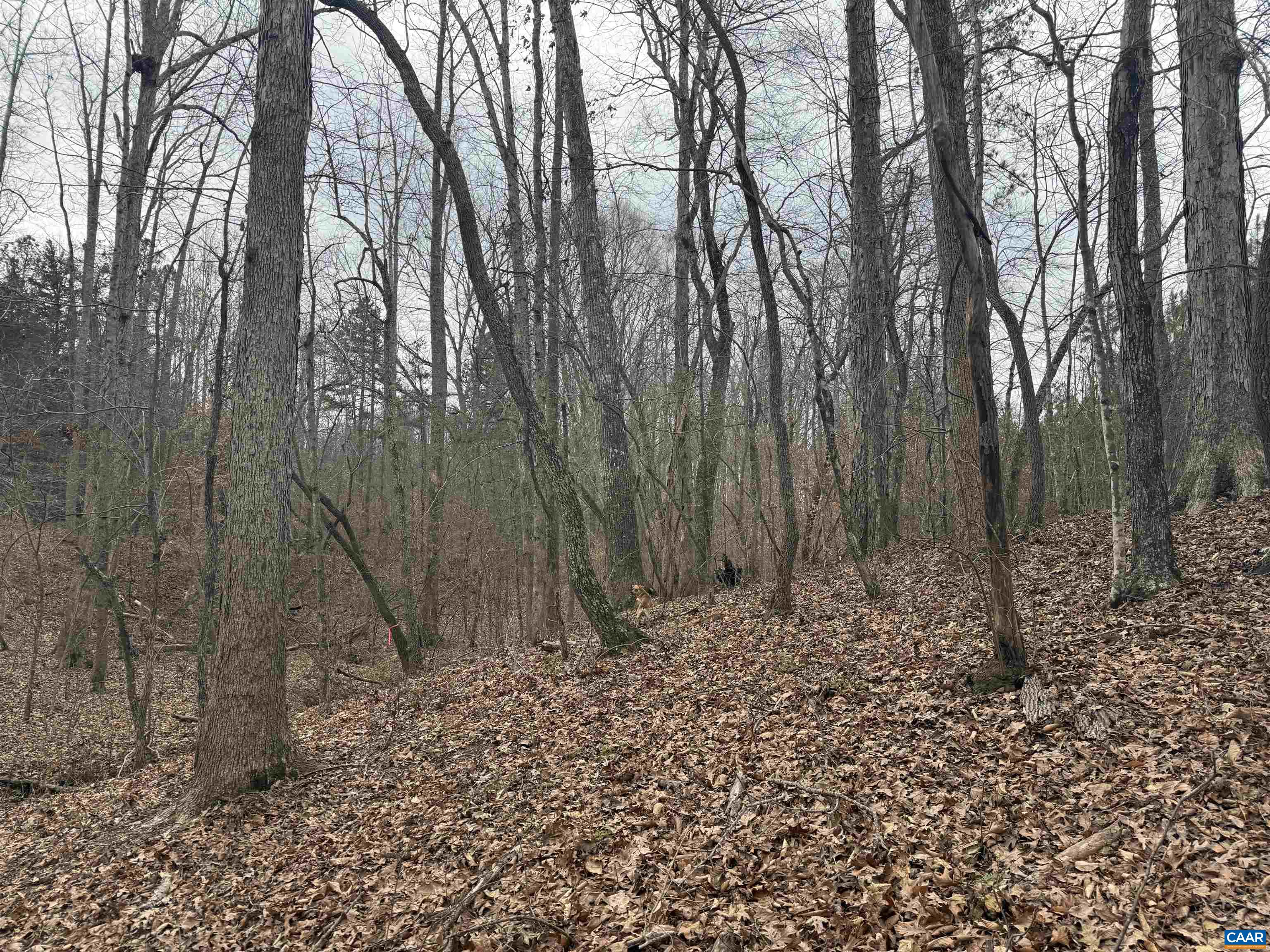 2 Hardware Road Arvonia, VA 23004 - Photo 15 of 17