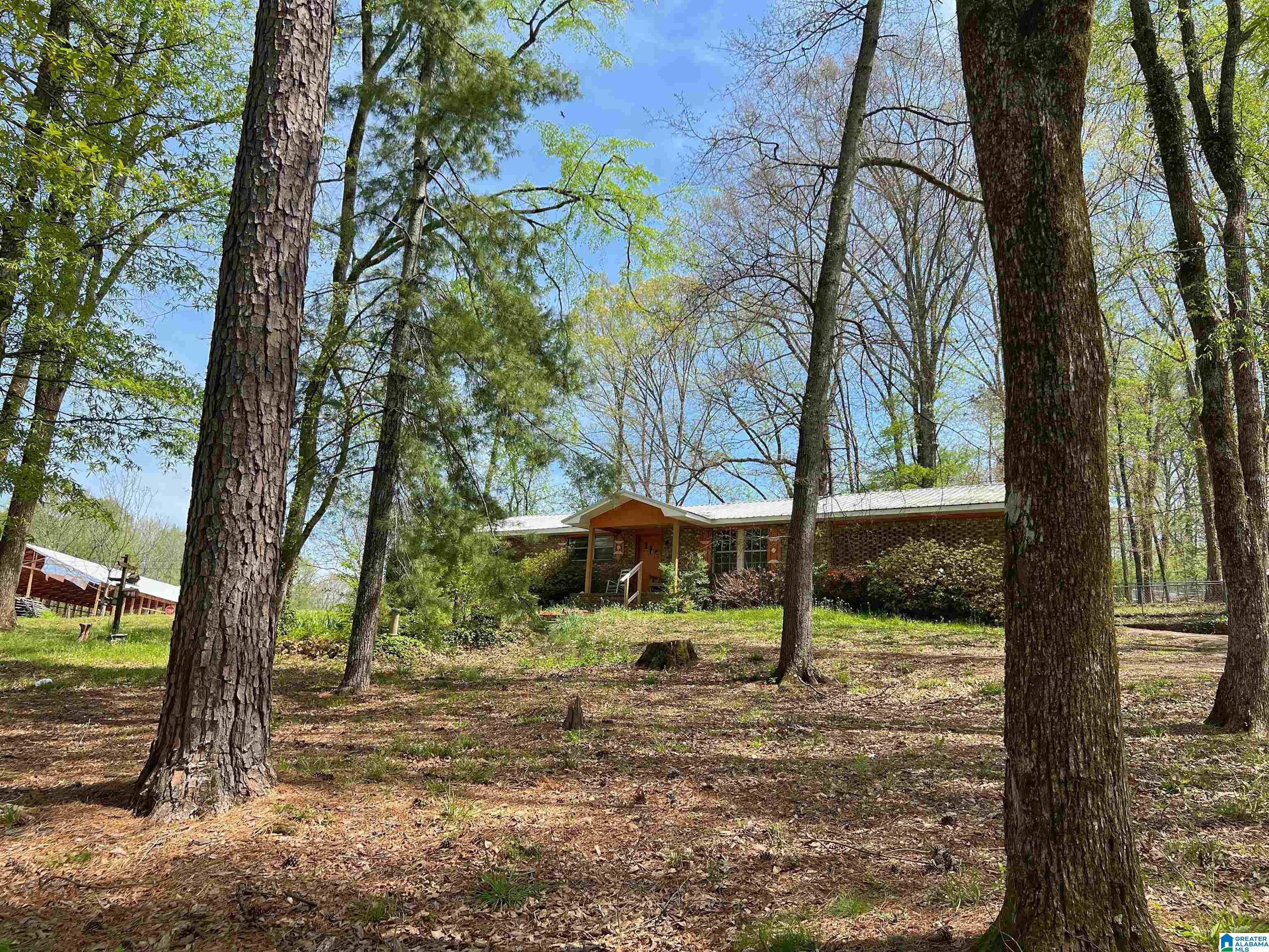 1444 Beck Road Eastaboga, AL 36260 - Photo 23 of 23