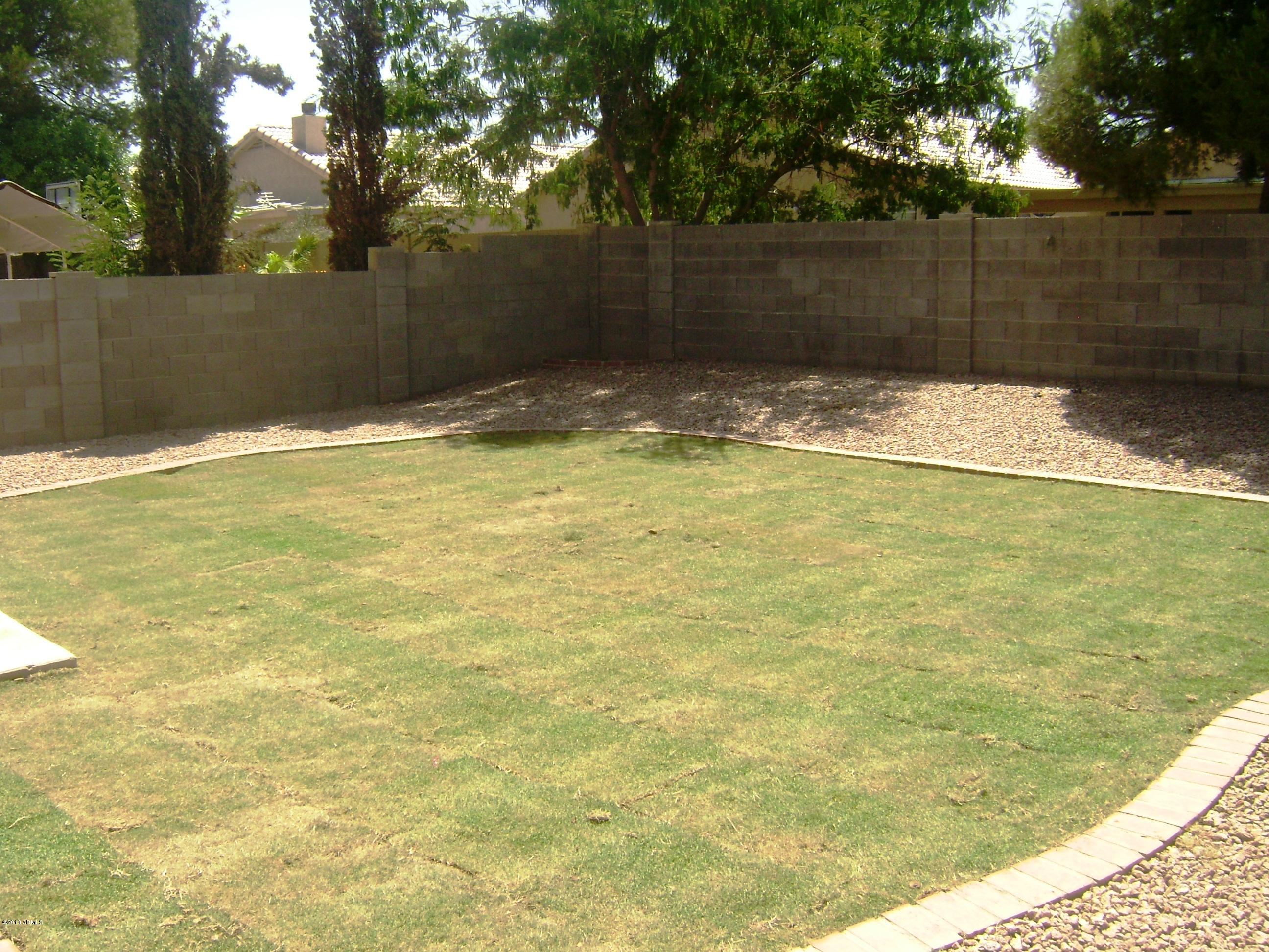 899 East Elgin Street Chandler, AZ 85225 - Photo 13 of 34 back 8