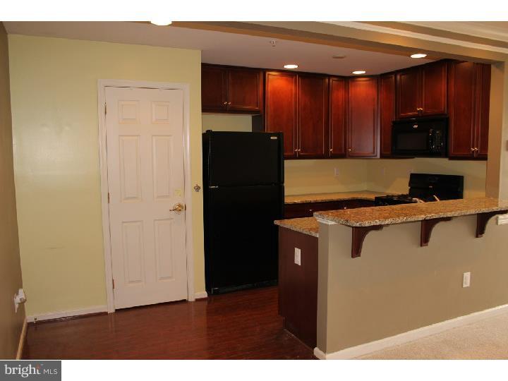 275 Flagstone Road, Unit 3 Chester Springs, PA 19425 - Photo 8 of 22 Kitchen