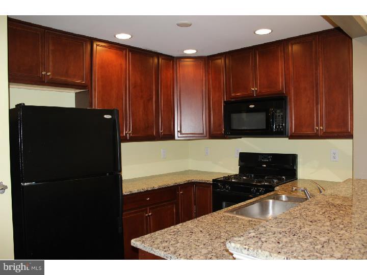 275 Flagstone Road, Unit 3 Chester Springs, PA 19425 - Photo 9 of 22 Kitchen