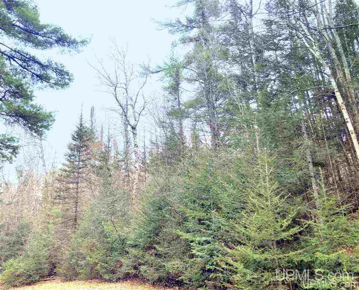 25265 County Road 581 Ishpeming, MI 49849 - Photo 13 of 22